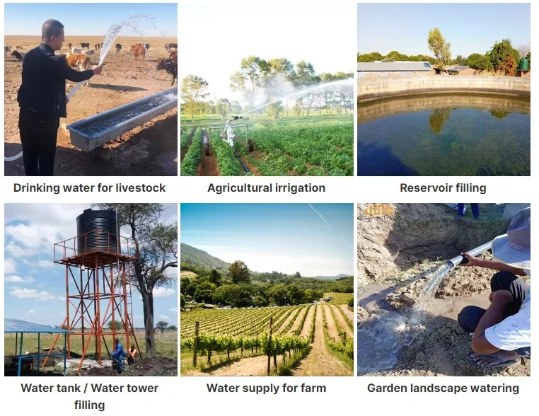 above ground well pump